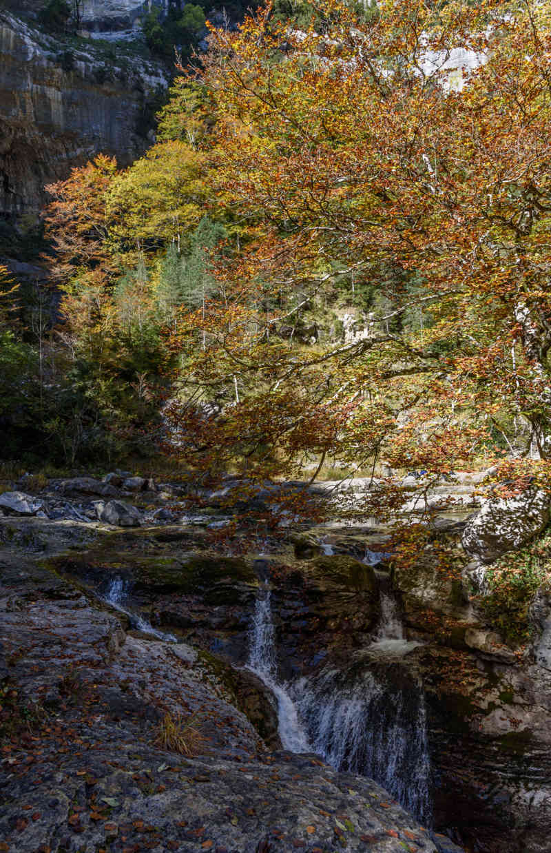 Huesca - parque nacional de Ordesa y Monte Perdido - valle de Añisclo 74 - cañon de Añisclo - rio Aso - salto de agua.jpg
